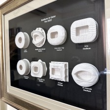 Hummingbird - Vector graphics