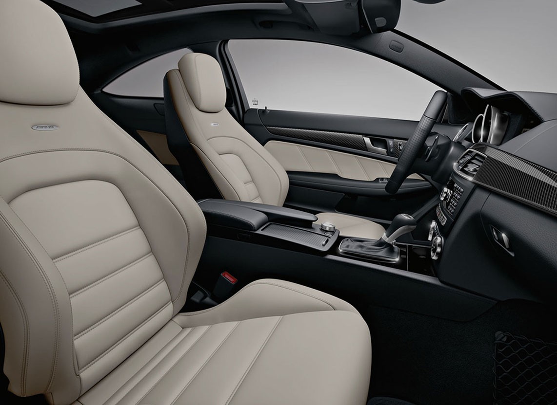 Urna pretium elit mauris cursus